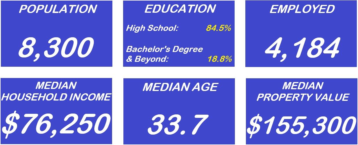 Dalhart Website Demographics
