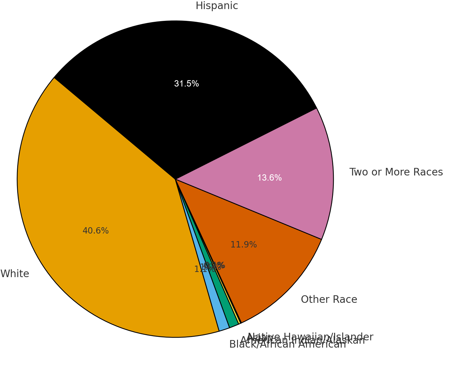 Race Pie Chart